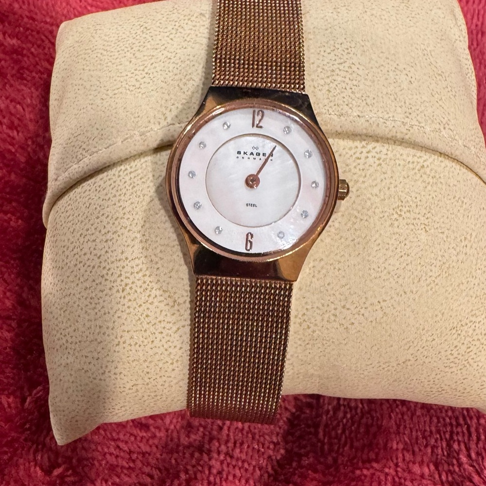 Skagen Gold Mesh Watch Back